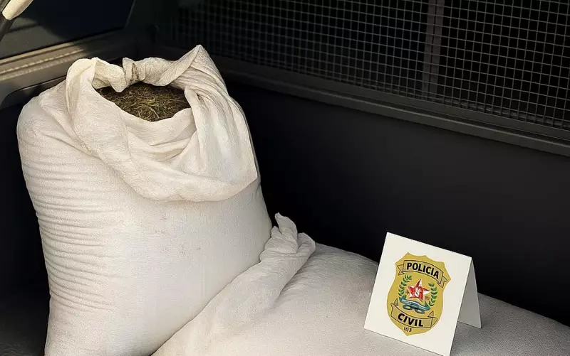 Polícia Civil recupera café furtado em Carmópolis de Minas, MG: veja detalhes