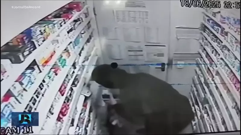 Polícia de SP recupera carga valiosa de canetas emagrecedoras e medicamentos roubados
