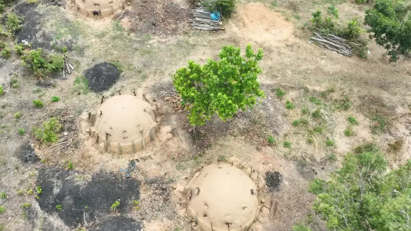 Policia desarticula fornos ilegais de carvão no Piauí: estado lidera desmatamento no Cerrado