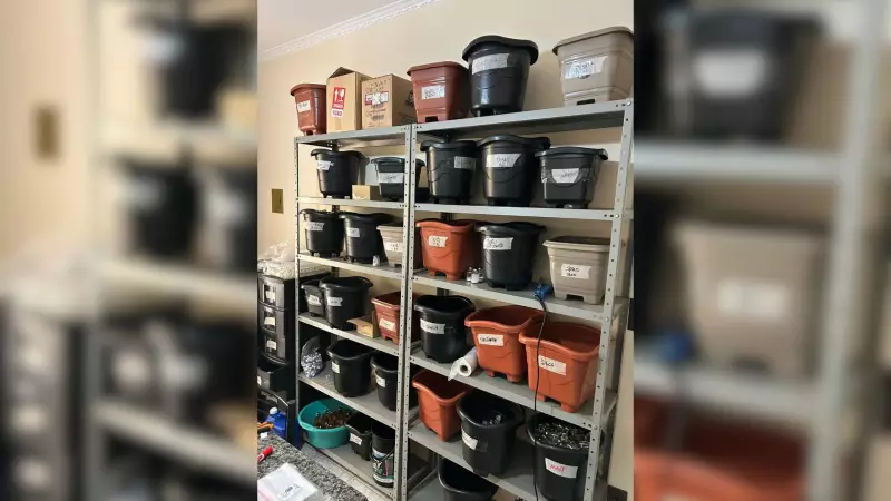 Polícia desmantela laboratório clandestino de anabolizantes em Bauru: entenda o caso