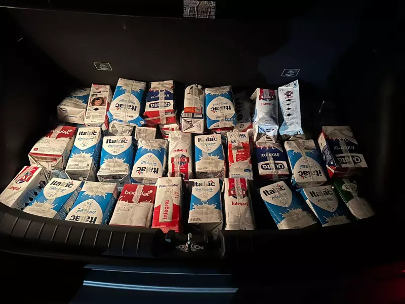 Polícia encontra dezenas de pássaros silvestres em transporte ilegal dentro de caixas de leite em MG