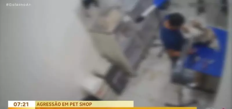 Polícia investiga denúncias de maus-tratos a cães em pet shop de Aparecida de Goiânia