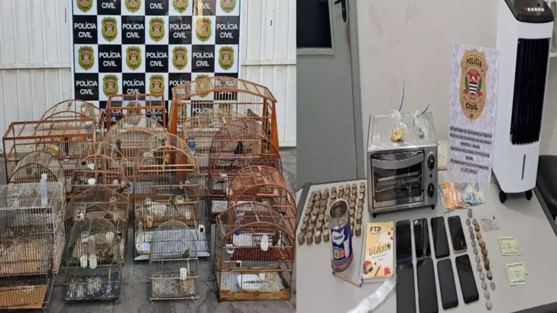 Polícia prende homem e apreende pássaros, drogas e produtos roubados em operação no interior de SP