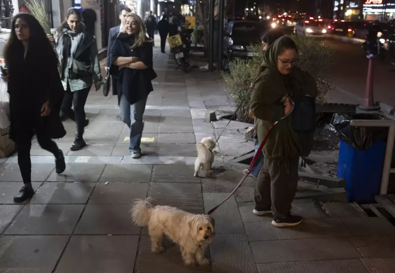 Por que o Irã está proibindo passeios com cães em público? Entenda a polêmica