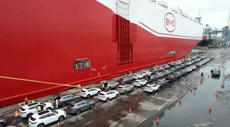 Porto de SC conclui megaoperação de desembarque de 7 mil carros elétricos