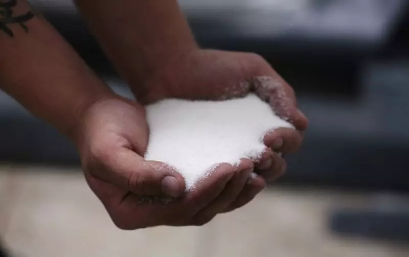 Preço do açúcar despenca em maio e inicia junho em queda: entenda os motivos