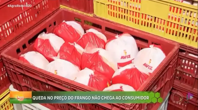 Preço do frango segue alto para o consumidor, mesmo após surto de gripe aviária em Goiás