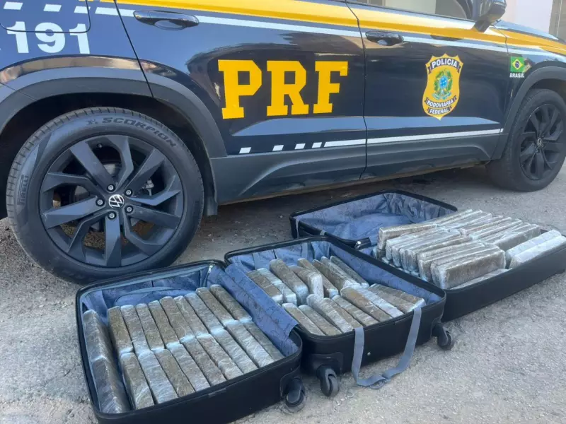 PRF apreende 50 kg de maconha em ônibus na BR-116 em Manhuaçu: droga estava escondida em malas