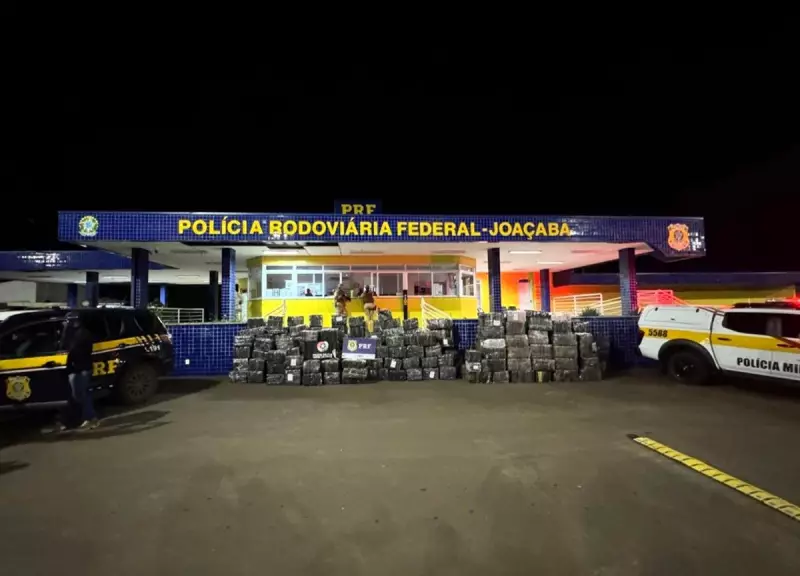 PRF apreende maior carga de maconha de 2025 em Santa Catarina: veja detalhes