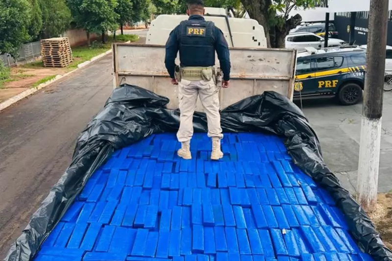 PRF apreende mais de 3 toneladas de maconha em caminhão na BR-163: veja detalhes da operação