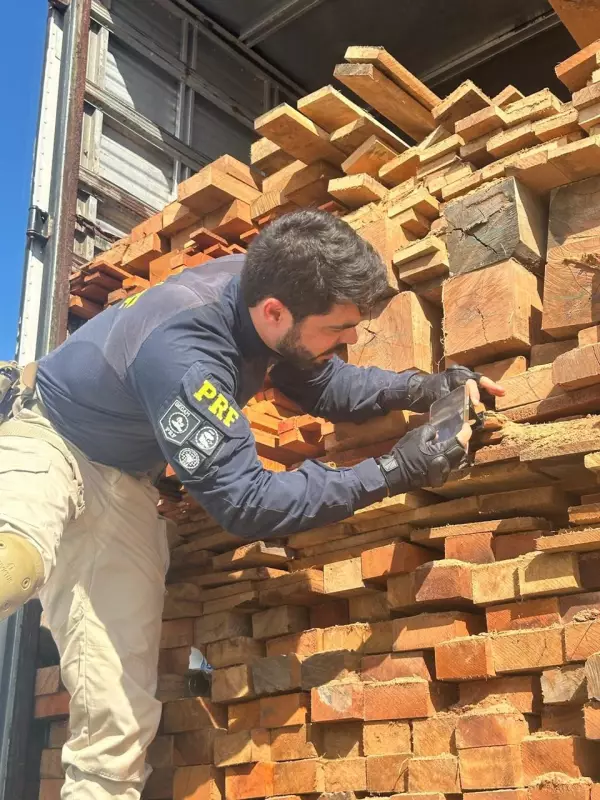 PRF flagra irregularidades nas estradas de PE durante Semana do Meio Ambiente