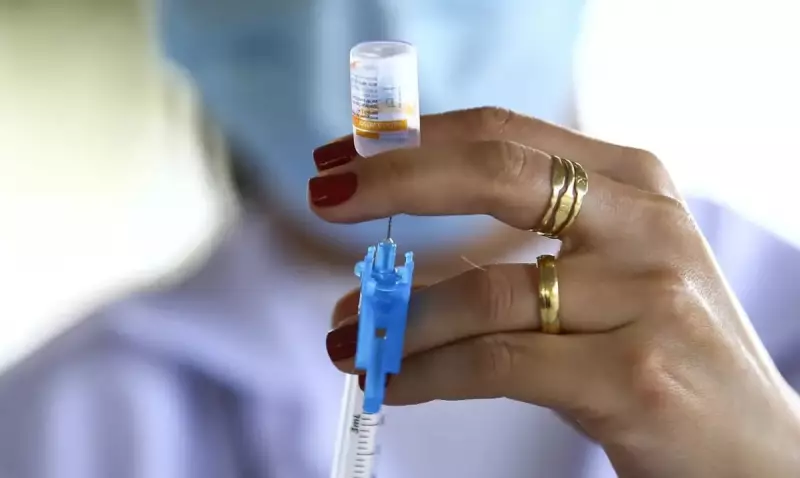 Primeiro caso de gripe aviária confirmado em São Paulo em 2025: saiba os detalhes