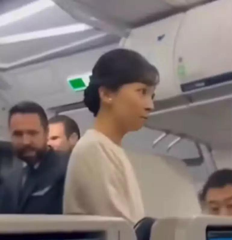 Princesa do Japão é flagrada por passageiros em voo doméstico no Brasil — veja o vídeo