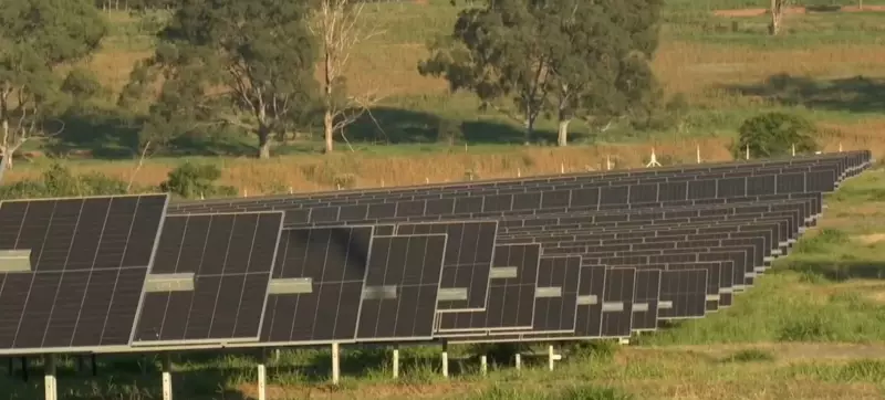 Produtor rural no Paraná troca soja e gado por energia solar e amplia renda