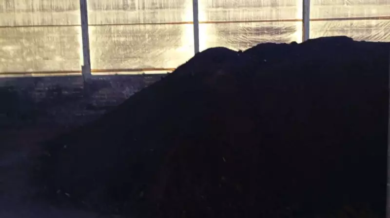 Produtores de Várzea Grande recebem apoio técnico e insumos para impulsionar a agricultura local