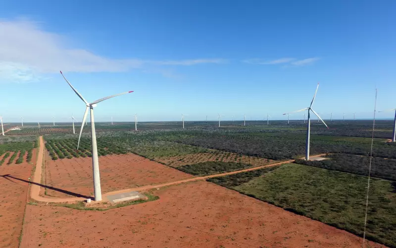 Produtores rurais no RN processam empresa de energia eólica por prejuízos à saúde e produção