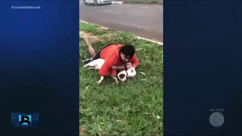 Professor de artes marciais vira herói ao imobilizar dois pitbulls em ataque assustador em MS