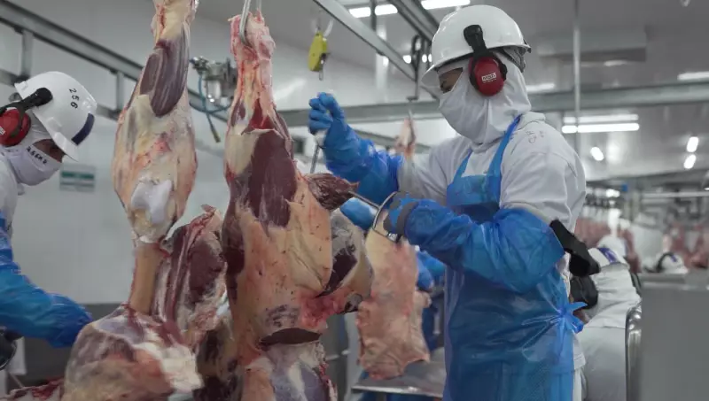 Programa transforma cadeias produtivas locais em Presidente Prudente: veja como participar