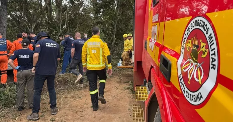 Queda de balão causa transtornos em Praia Grande: prefeito relata impacto na cidade
