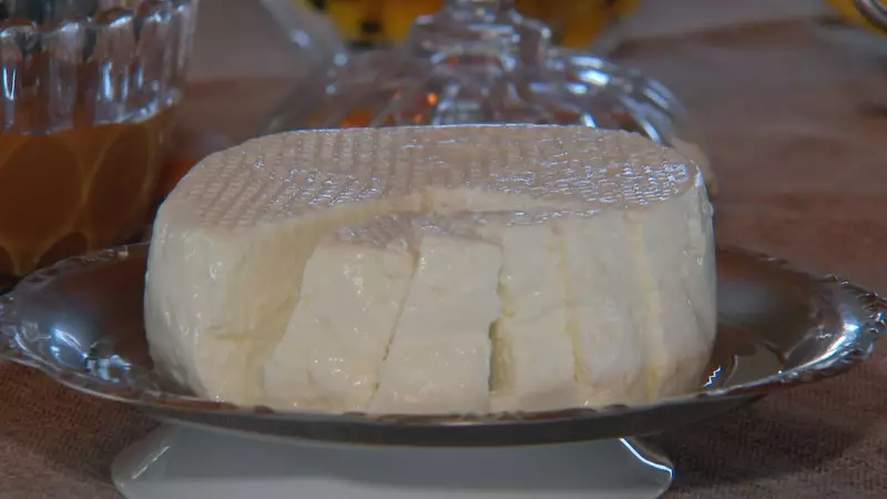 Queijo de búfala artesanal: criadores investem em produção de qualidade no interior de SP