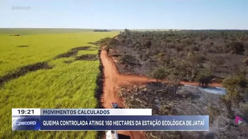Queima controlada atinge 160 hectares da Estação Ecológica de Jataí em Luiz Antônio, SP