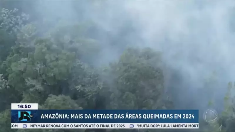 Queimadas no Brasil em 2024 já superam média histórica: alerta ambiental