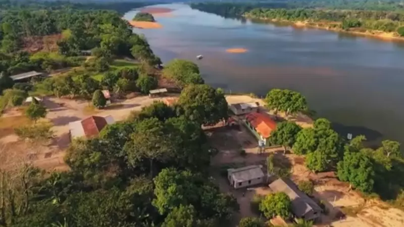 Quilombo Jauary: Exemplo de Sustentabilidade e Preservação Ambiental na Amazônia