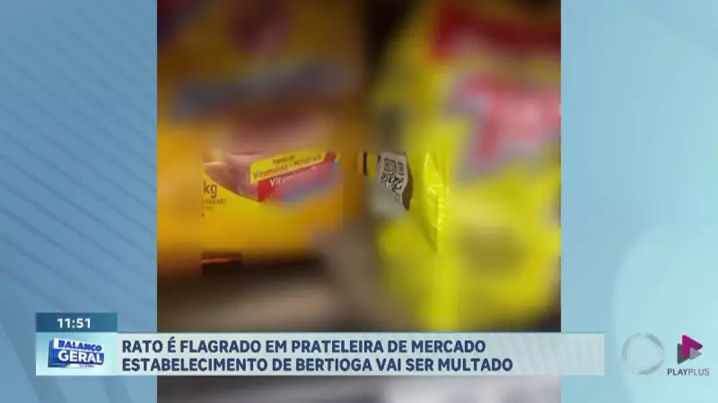 Rato é flagrado em prateleira de supermercado em Bertioga (SP) — Veja o vídeo chocante!