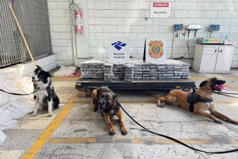 Receita Federal apreende 657 kg de cocaína escondidos em carga de café no Porto de Santos