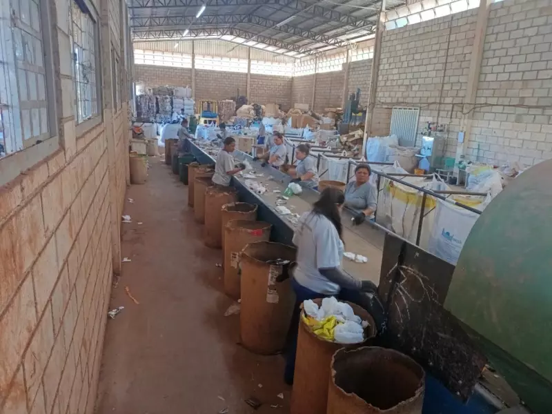 Reciclar Goiânia: Movimento inovador promete transformar a capital goiana