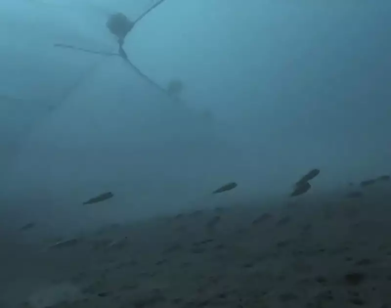 Rede gigante varre o fundo do mar e persegue centenas de peixes — assista ao vídeo impressionante