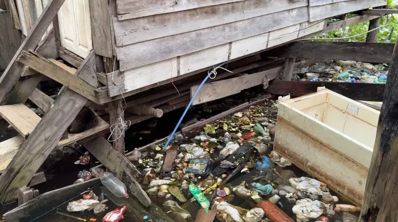 Rio Negro atinge nível crítico em Manaus: Defesa Civil registra 29,02 metros