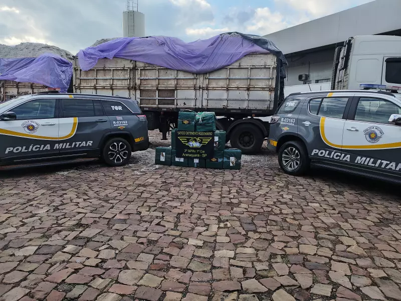 Rodovia Washington Luís: Polícia apreende 350 kg de cocaína em caminhão | G1 São Carlos