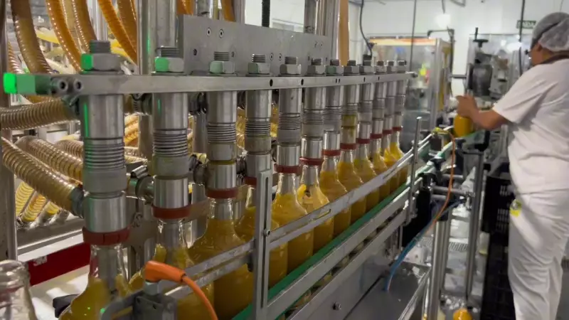 Rota do Licor em Cachoeira: Nova Trilha Turística Promete Encantar Visitantes na Bahia