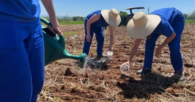 Santa Catarina lança hub inovador para produção de fertilizantes sustentáveis e redução de importações