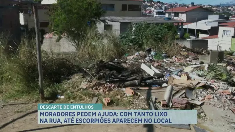 Santa Luzia (MG) sofre com acúmulo de lixo que atrai escorpiões: moradores em alerta!