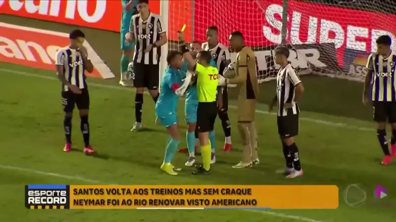 Santos retoma treinos sem Neymar: veja como ficou o time e as expectativas para a temporada