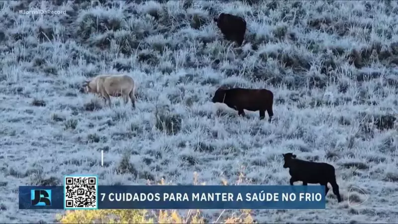 São Joaquim registra a menor temperatura do ano no Brasil: -6,5°C!