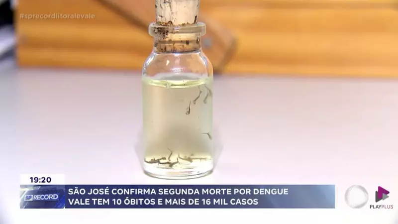 São José dos Campos registra segunda morte por dengue em 2025: saiba como se proteger