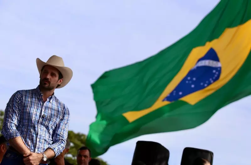 São Paulo consolida liderança na produção de carne bovina: veja os números impressionantes
