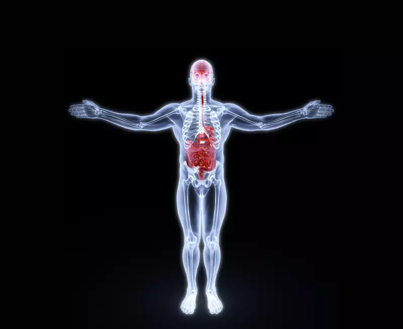 Saúde intestinal e retal: principais problemas e como cuidar do seu bem-estar