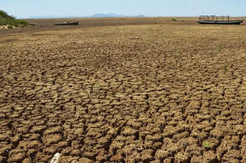 Seca extrema no Brasil: causas, impactos e como se preparar
