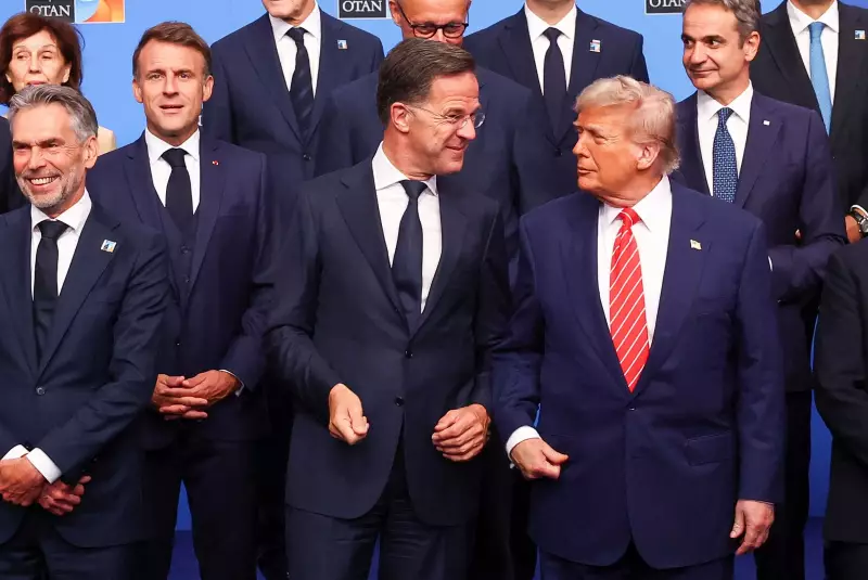 Secretário-Geral da OTAN defende linguagem forte contra Trump e Israel: "Às vezes, o papai tem que bronquear"