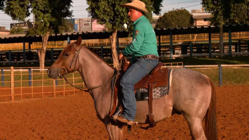 Sela Personalizada: O Segredo para a Harmonia entre Cavalo e Cavaleiro