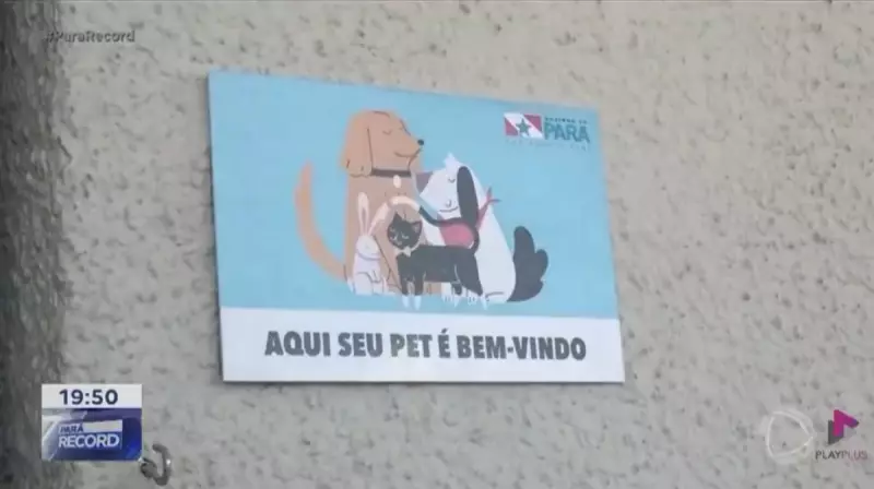 Selo Pet Friendly: Locais no Pará agora são certificados por aceitarem animais