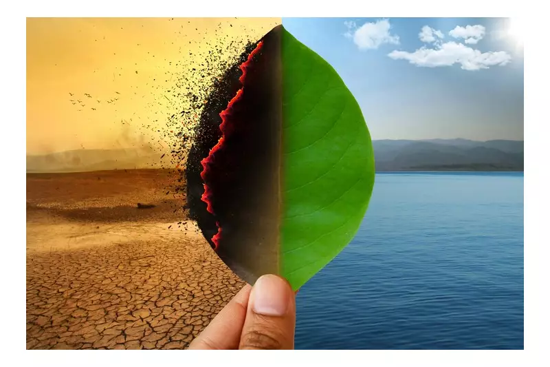 Semana do Clima de Londres começa com foco em soluções sustentáveis e inovação