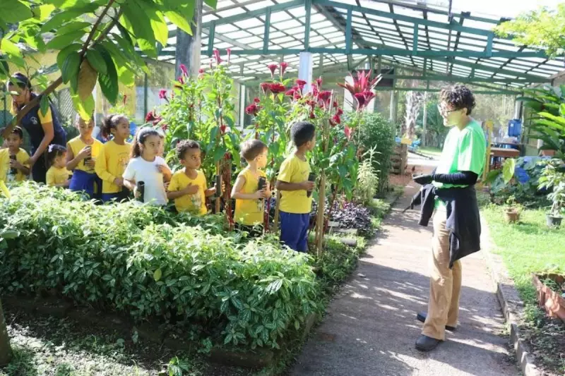 Semana do Meio Ambiente em Santos: mais de 40 atividades gratuitas para celebrar a sustentabilidade