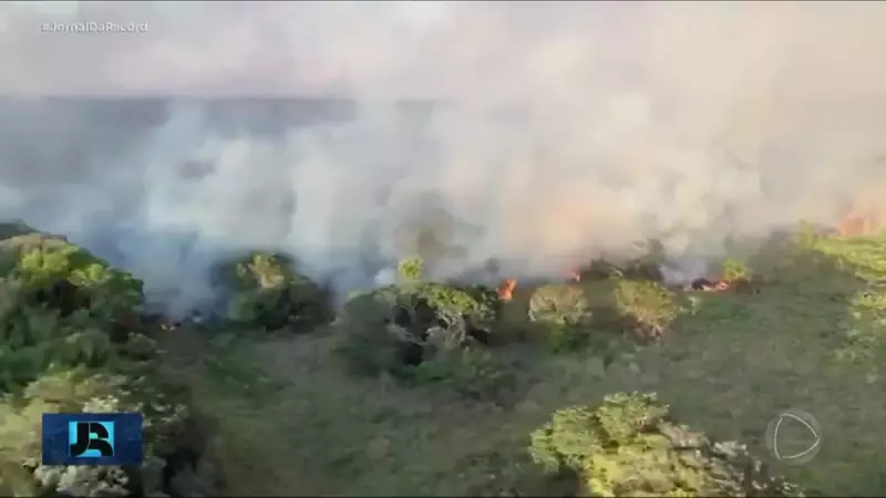 Senado pode endurecer punições por incêndios florestais: entenda o projeto em votação