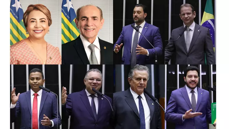 Senadores e deputados do Piauí votam em medida que pode aumentar conta de luz: veja como cada um se posicionou