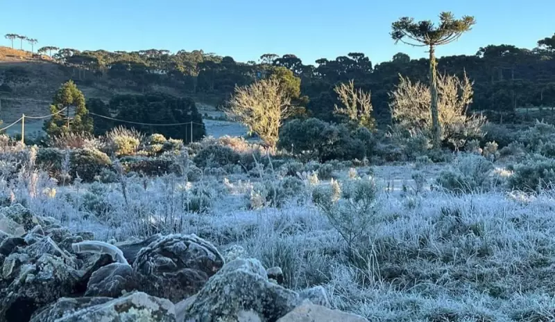 Serra Catarinense registra sensação térmica de -29°C: como se proteger do frio extremo